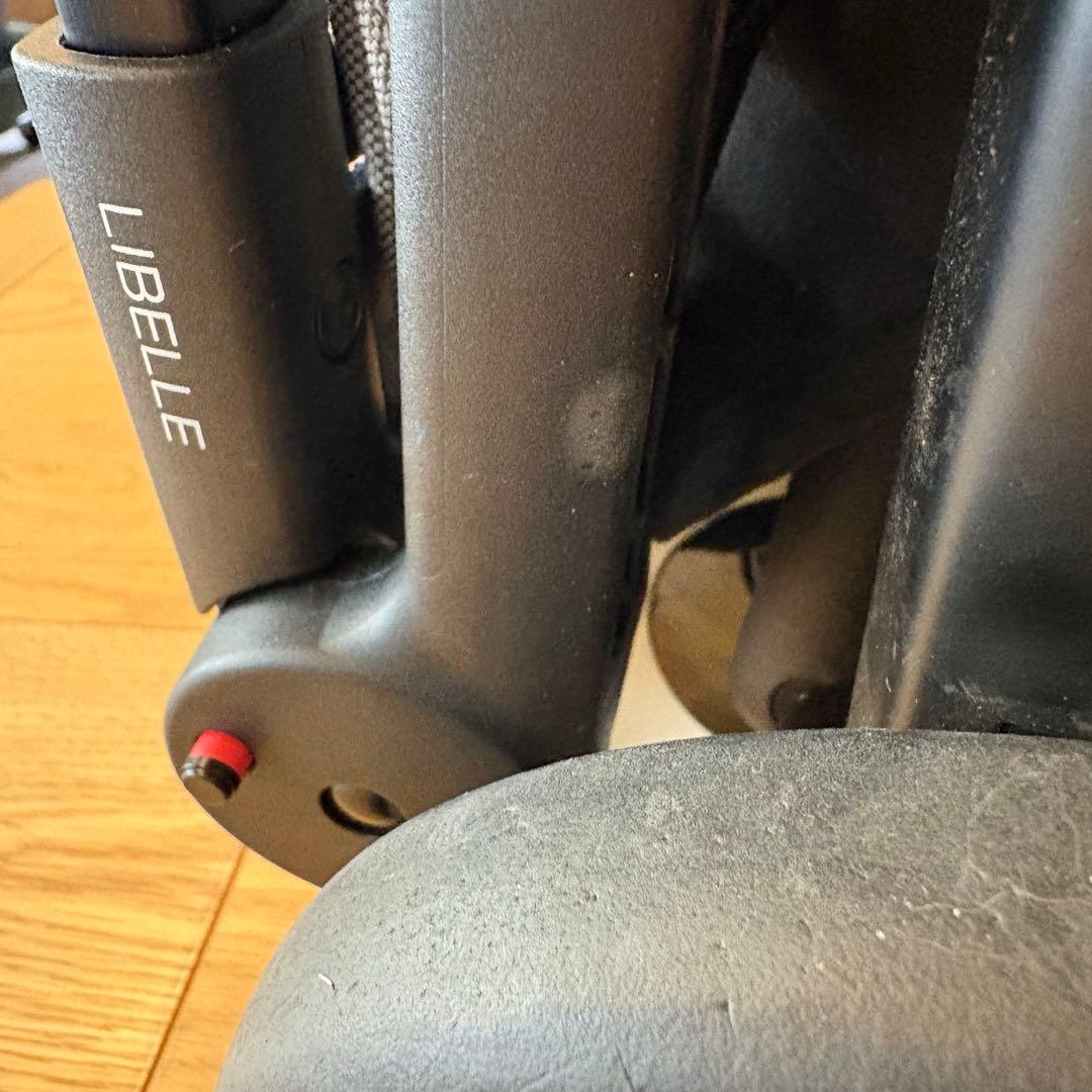 Cybex LEBELLE 2022年購入　トラベルバッグ付き