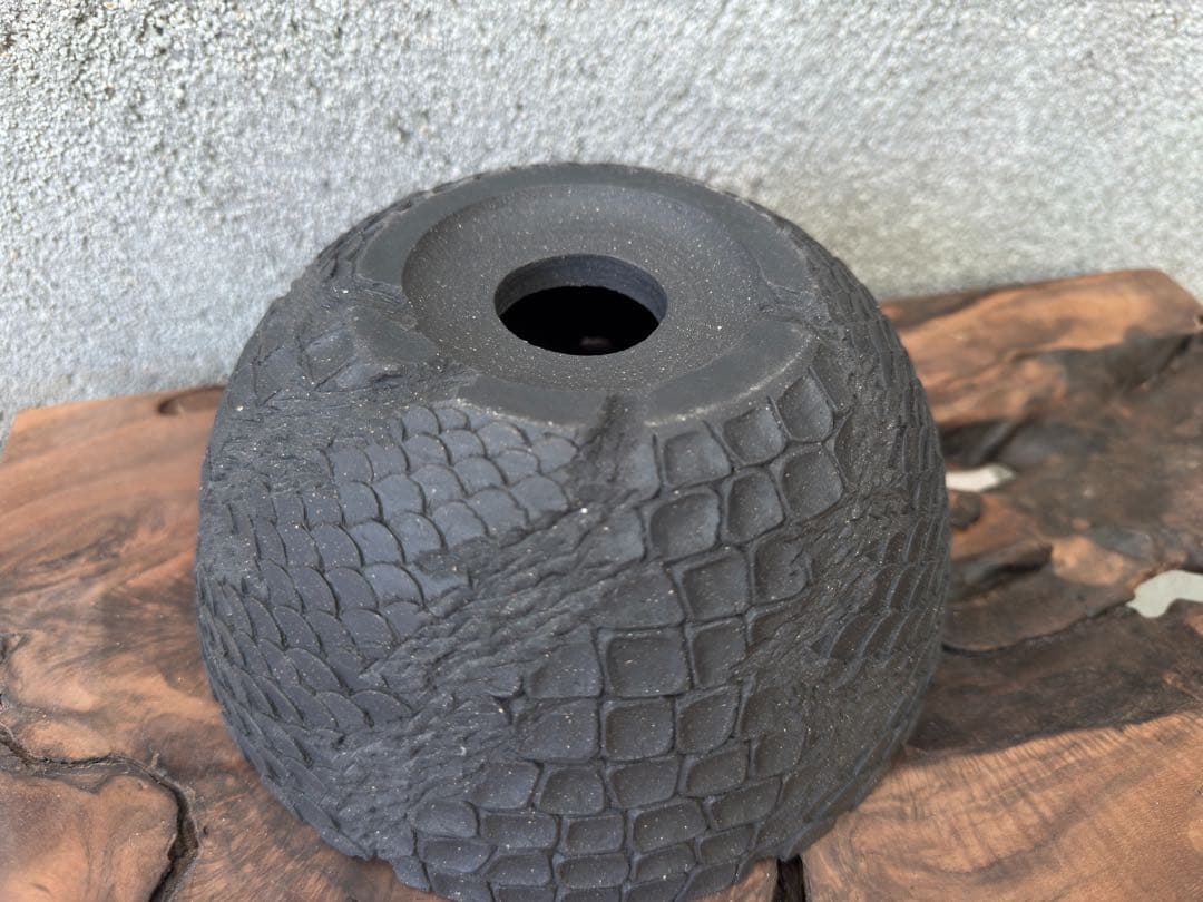 手作植木鉢 グラデーション植木鉢（ 塊根植物 グラキリス パキプス アガベ)