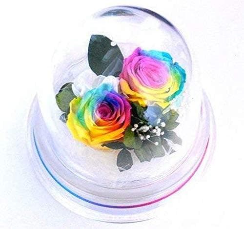 【高級プリザーブドフラワー】レインボーローズドーム