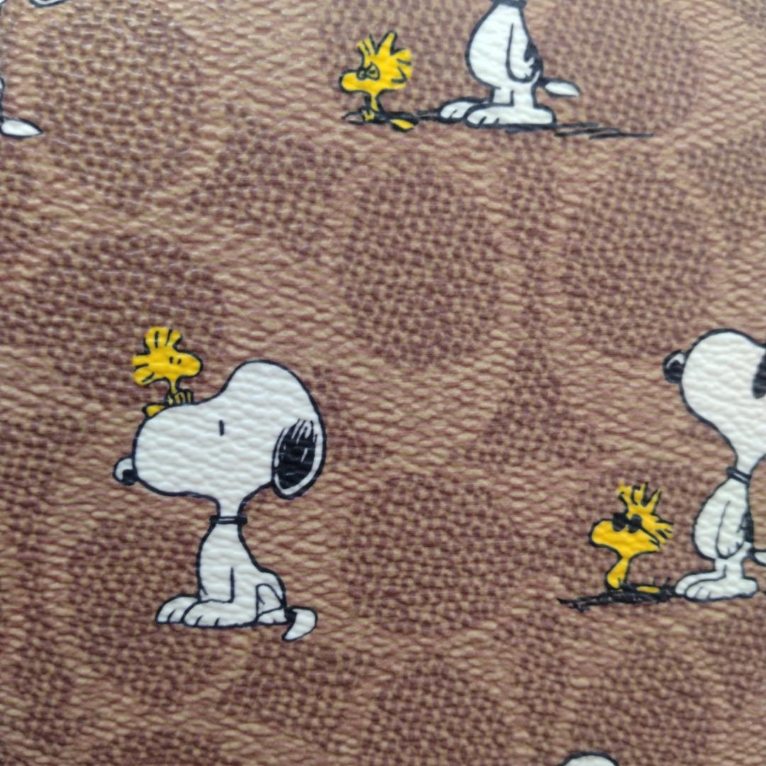 【新品未使用】COACH ×スヌーピー リュック ブラウン CBM25