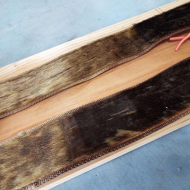 超希少_美品_アザラシ本革シール_山スキー用_補強有