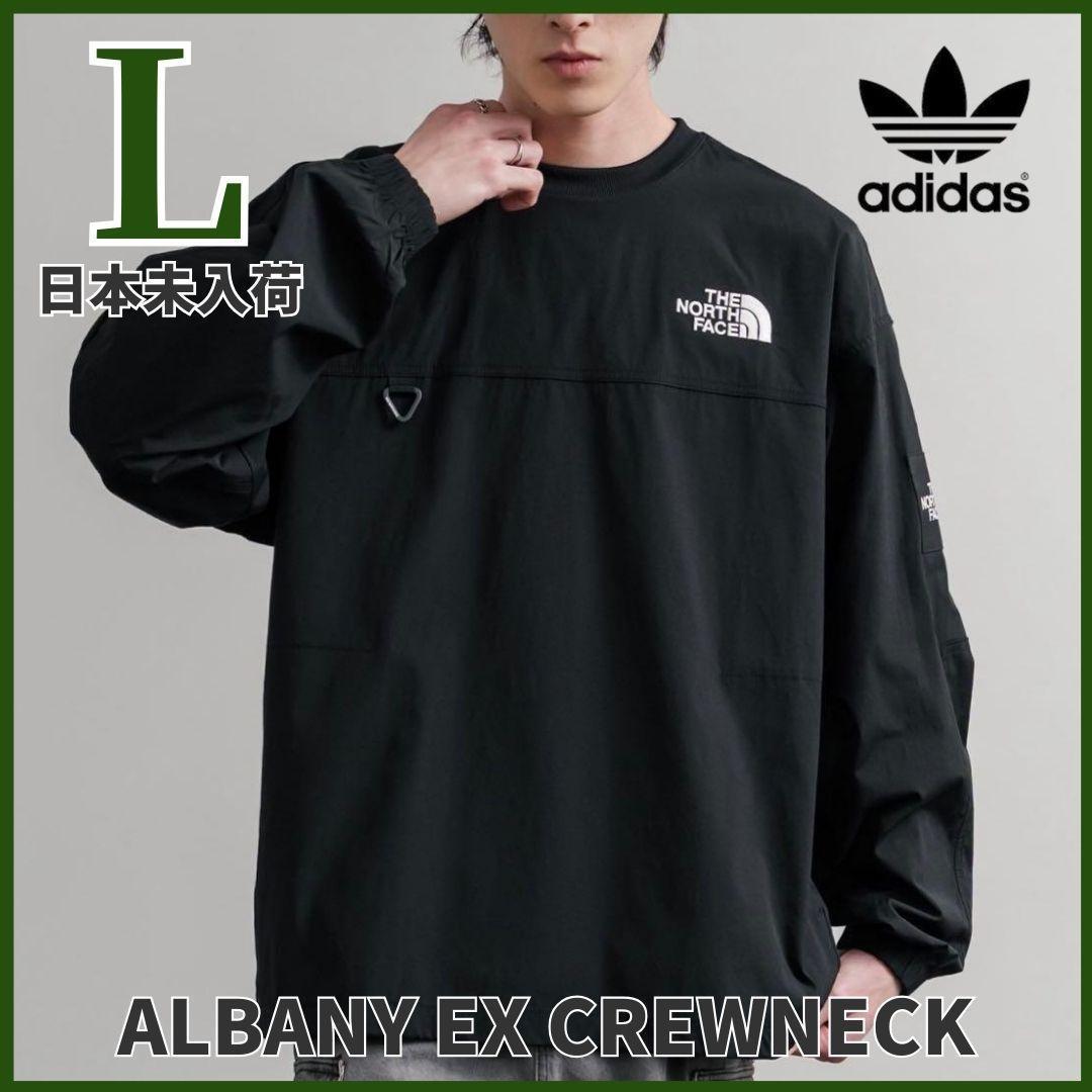 日本未入荷 ノースフェイス ALBANY EX CREWNECK ロンT 黒 L