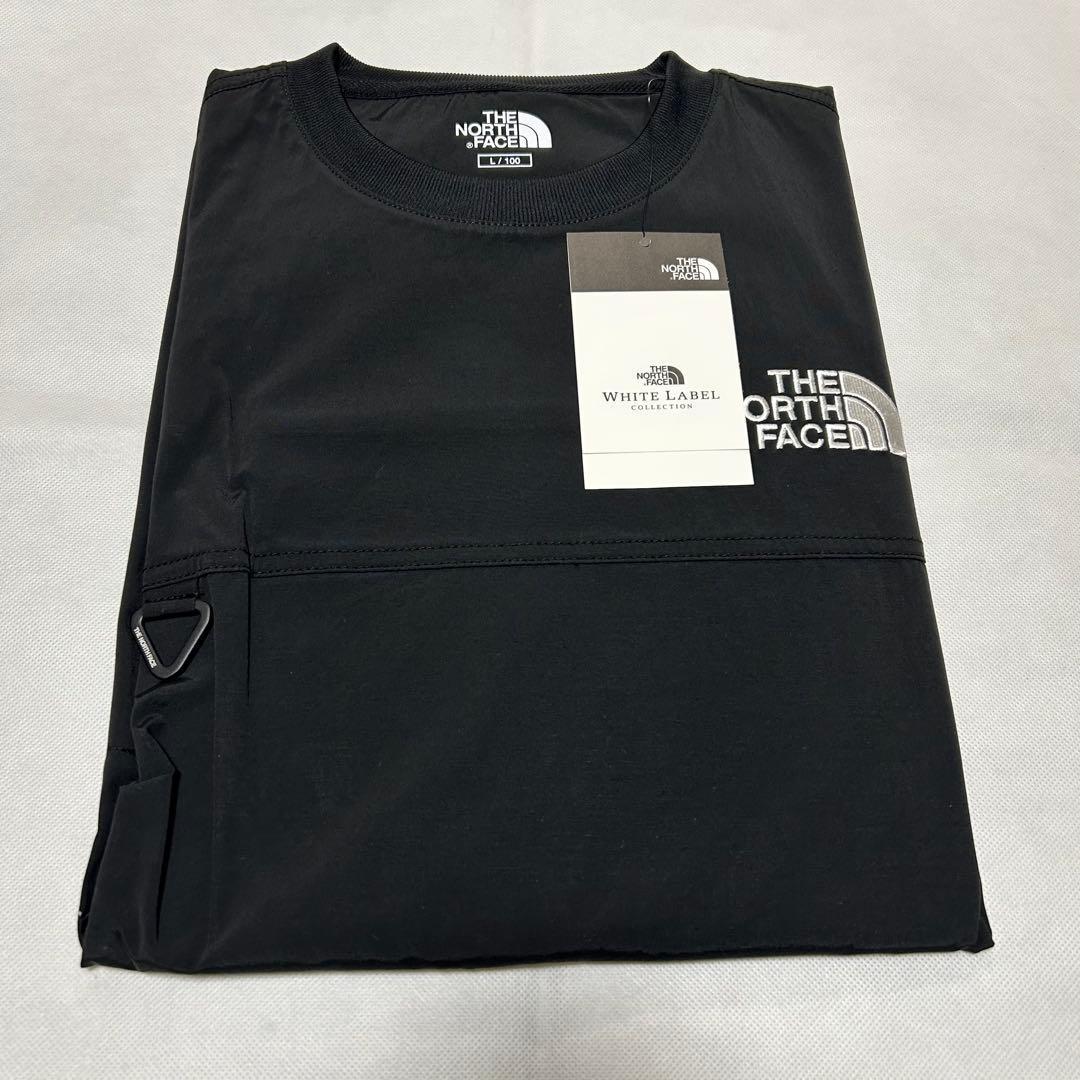 日本未入荷 ノースフェイス ALBANY EX CREWNECK ロンT 黒 L