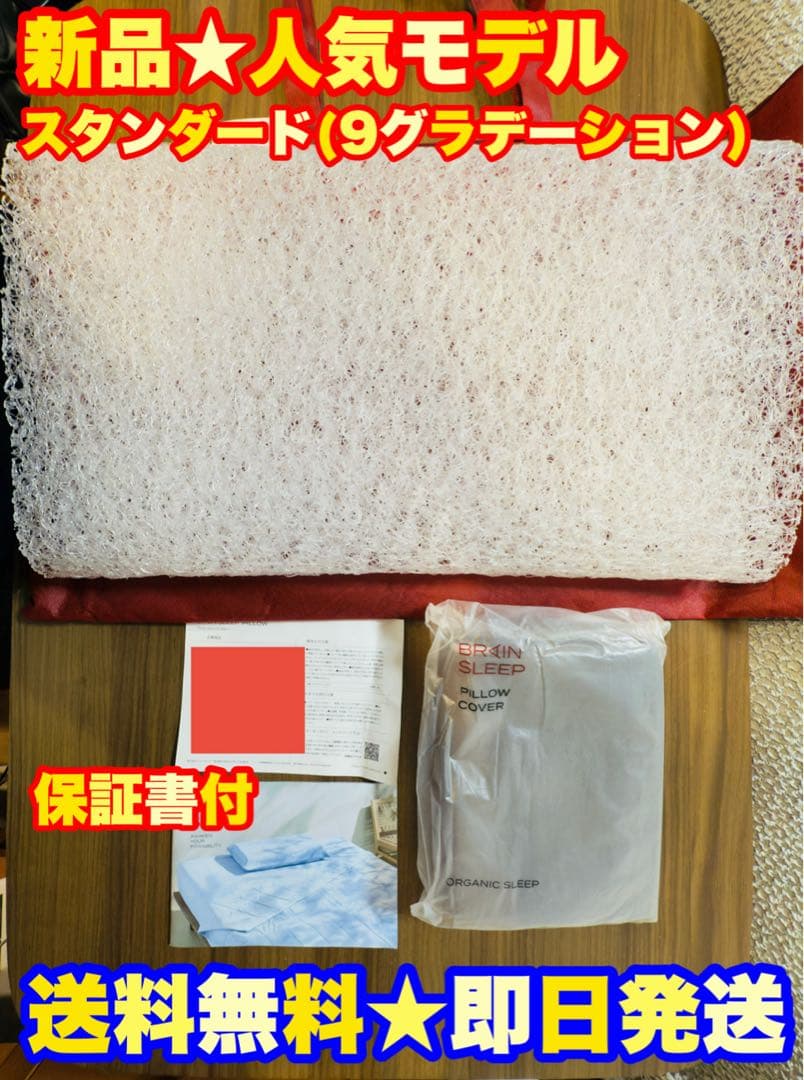 【新品★定価3万】BRAIN SLEEP PILLOW ブレインスリープピロー