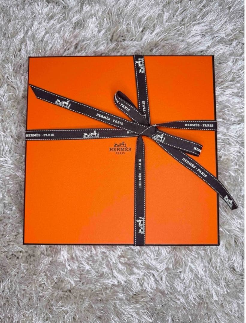 エルメス☆パンプレート No6 ＜ガダルキヴィール＞ペア2枚組　新品