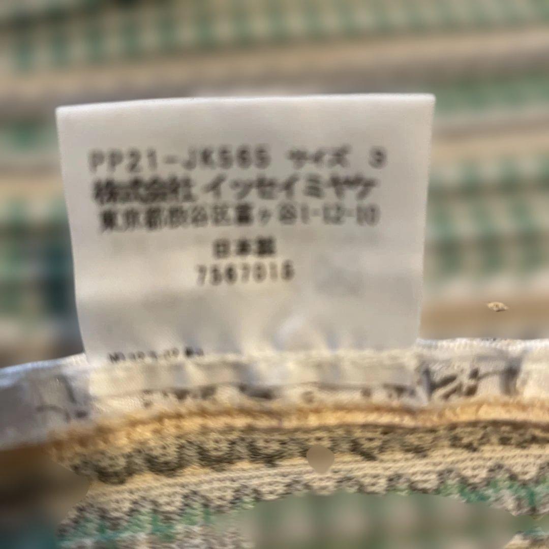 イッセイミヤケ プリーツプリーズ ストライプ Vネック 半袖シャツ