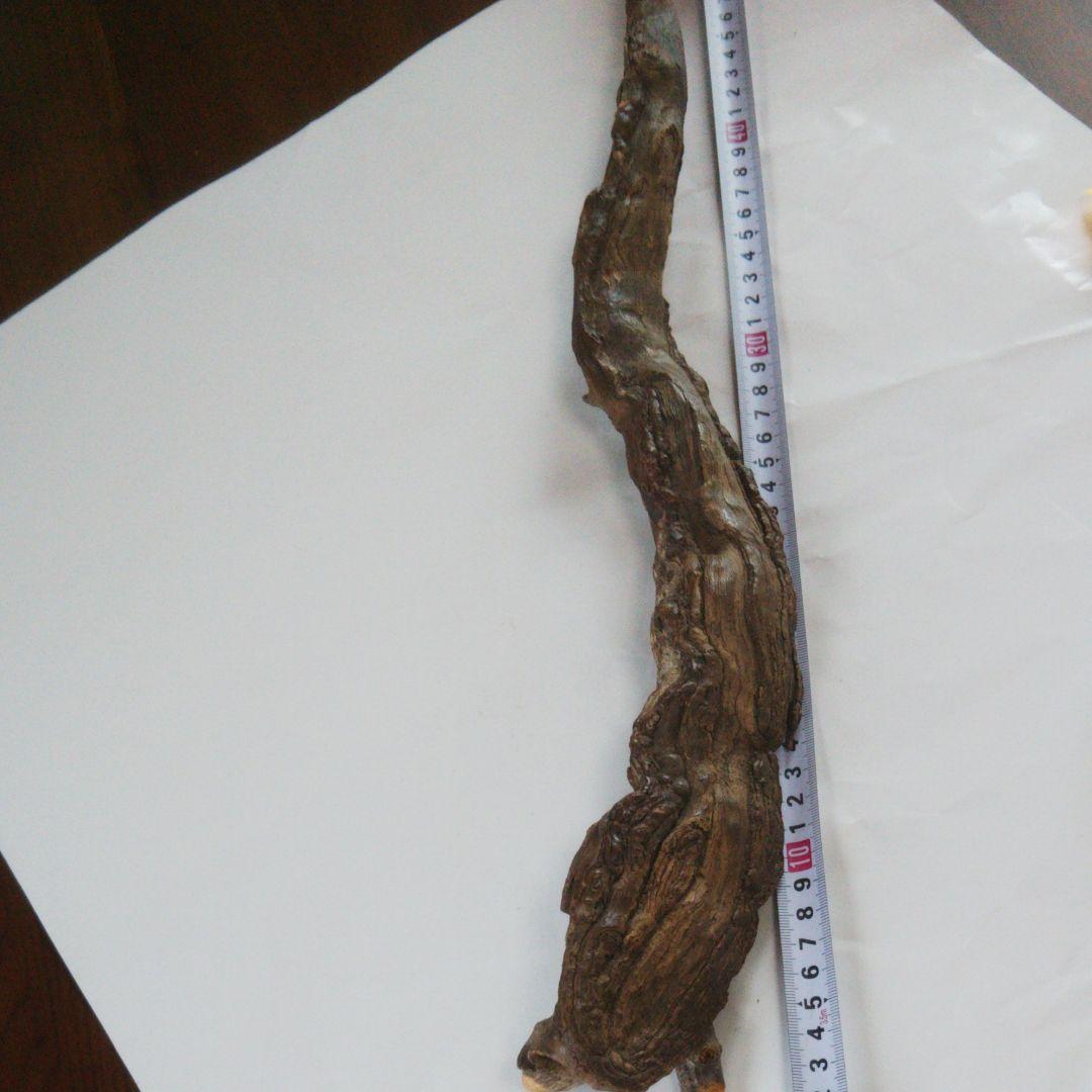 2025年巳年、肥松縁起物置物