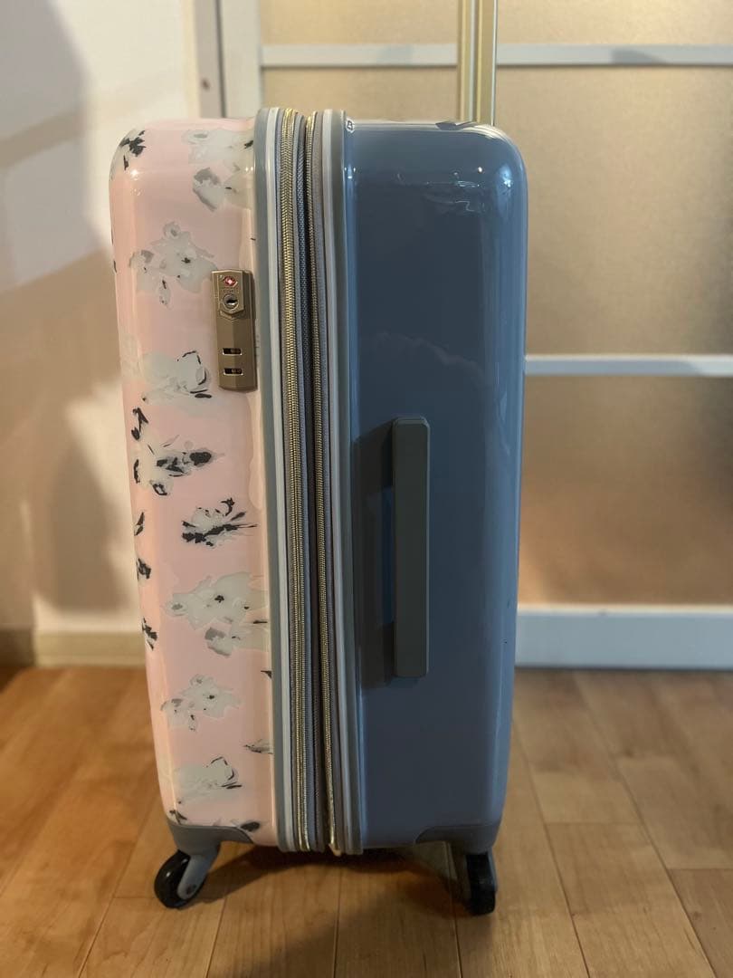 マーキュリーデュオのキャリーケース 66L