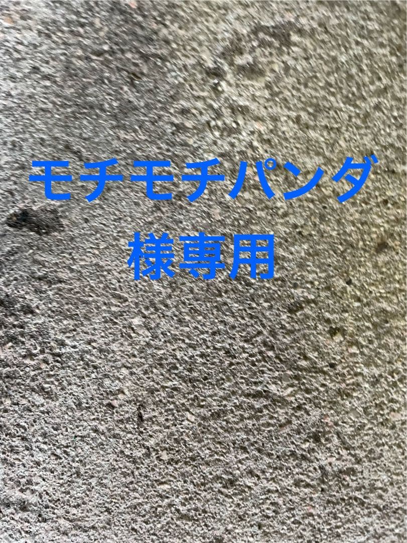 モチモチパンダ様 HIDランプ 専用