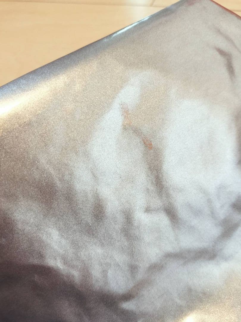 ​訳あり ひとりっぷ レスポートサック グッデイトート シルバー RYUSEI