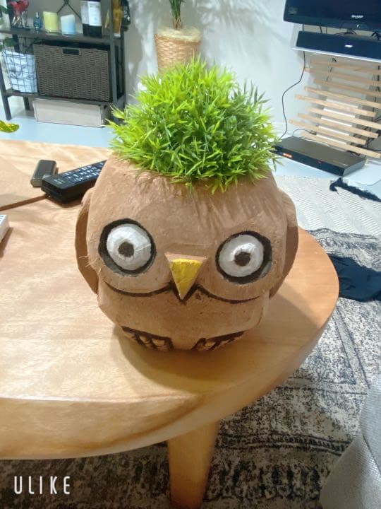 幸福がくるフクロウ