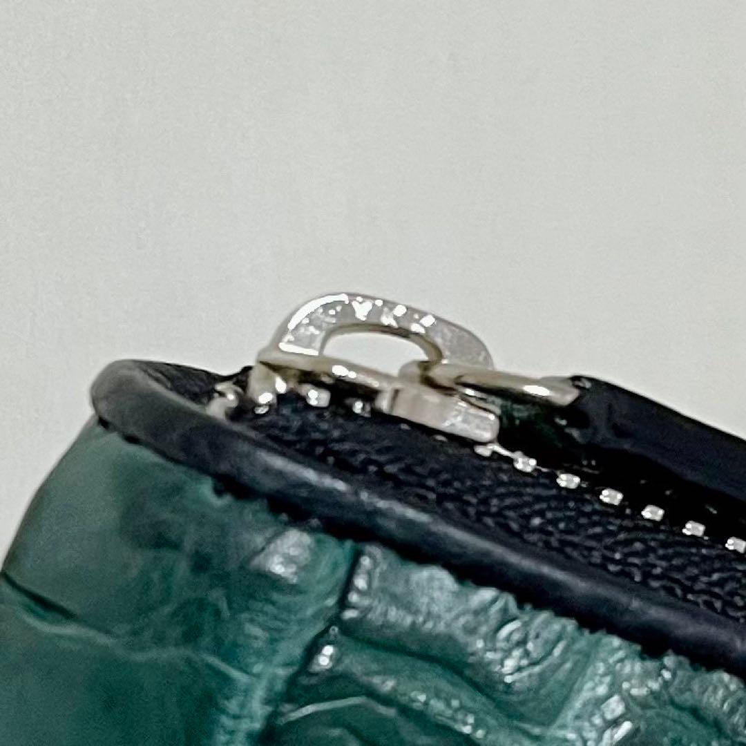 【新品・未使用】クロコダイル　ケース　カードケース　シャムワニ