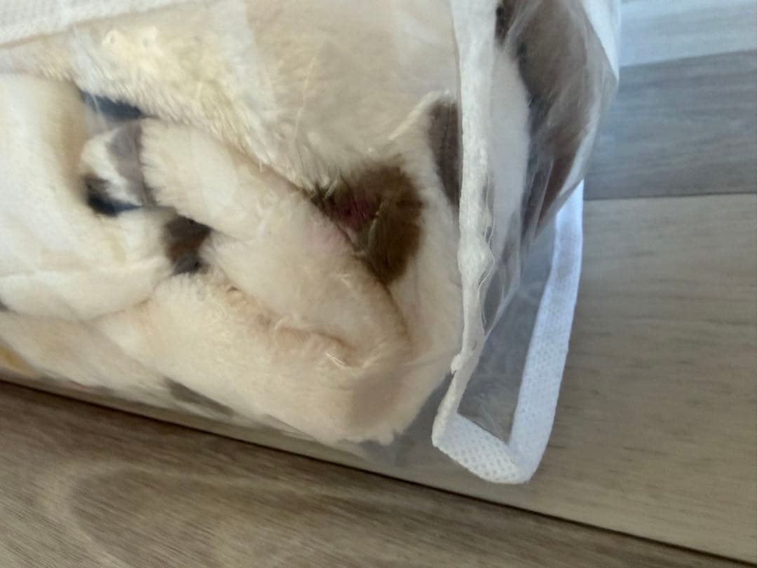 東京ディズニーシー　ダッフィー&フレンズ　スウィートドリームス　毛布　未開封