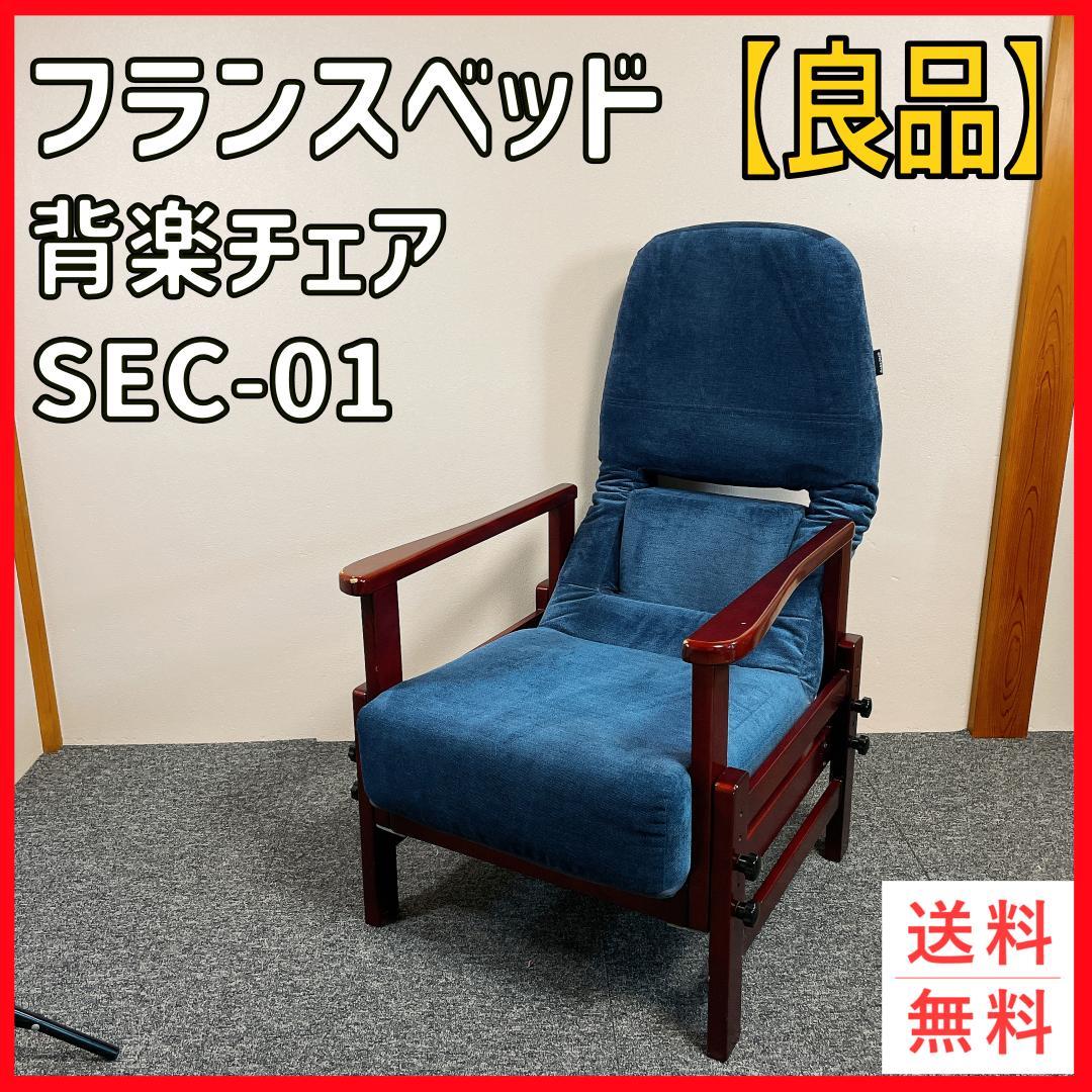フランスベッド 背楽チェア SEC-01 介護用椅子