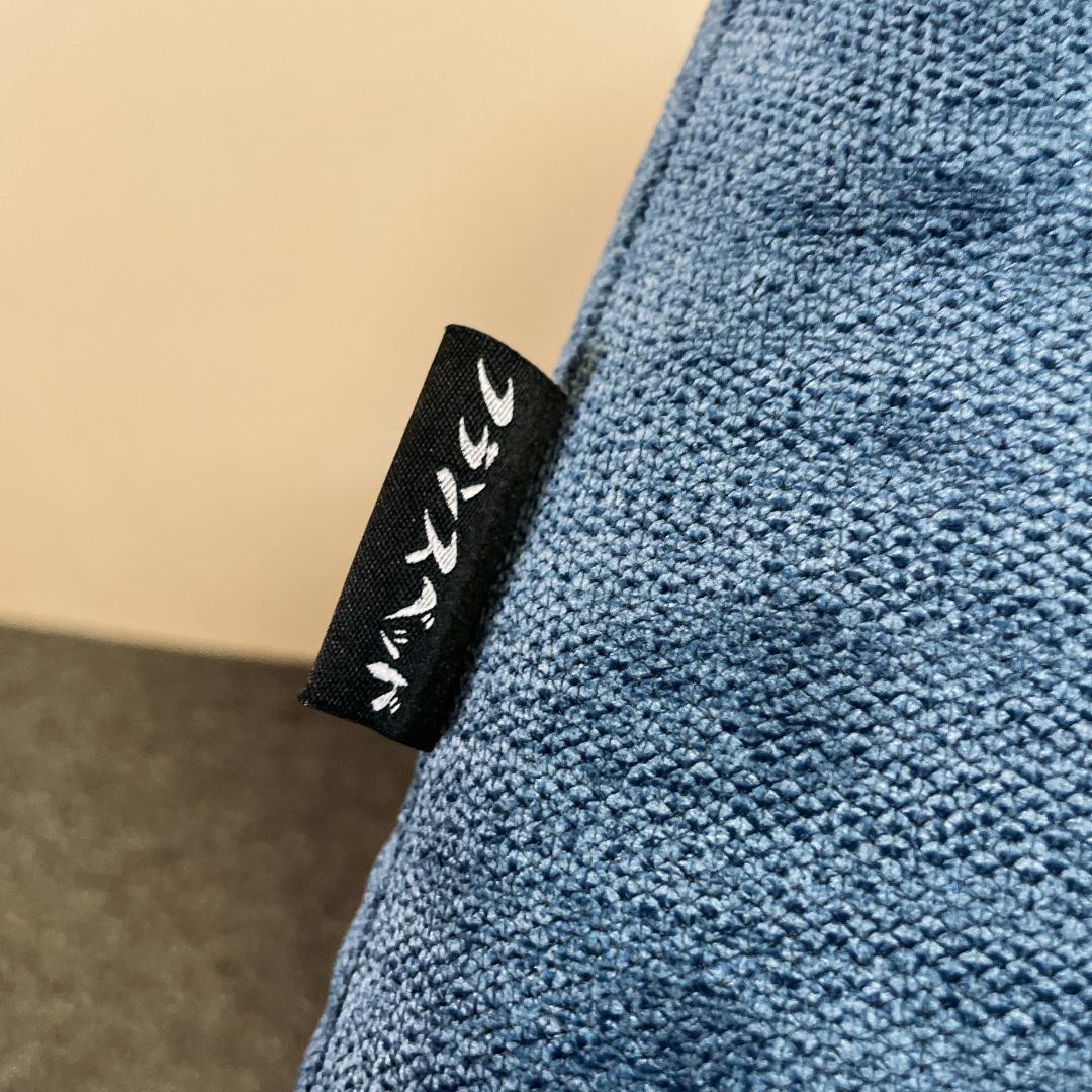 フランスベッド 背楽チェア SEC-01 介護用椅子