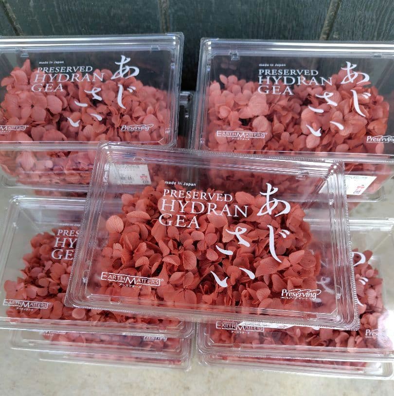 EARTH MATTERS あじさい ローズ 15個セット