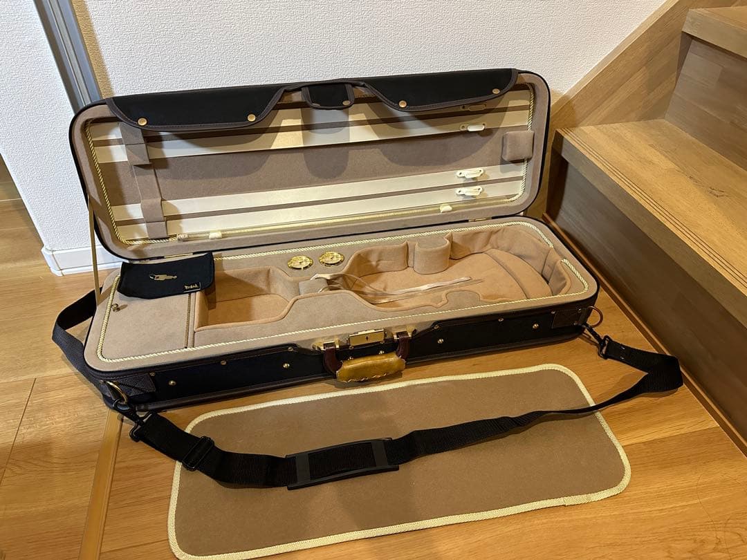定価5万　綺麗　軽量　バイオリンケース　4/4 部活　サークル　音大　バイオリン
