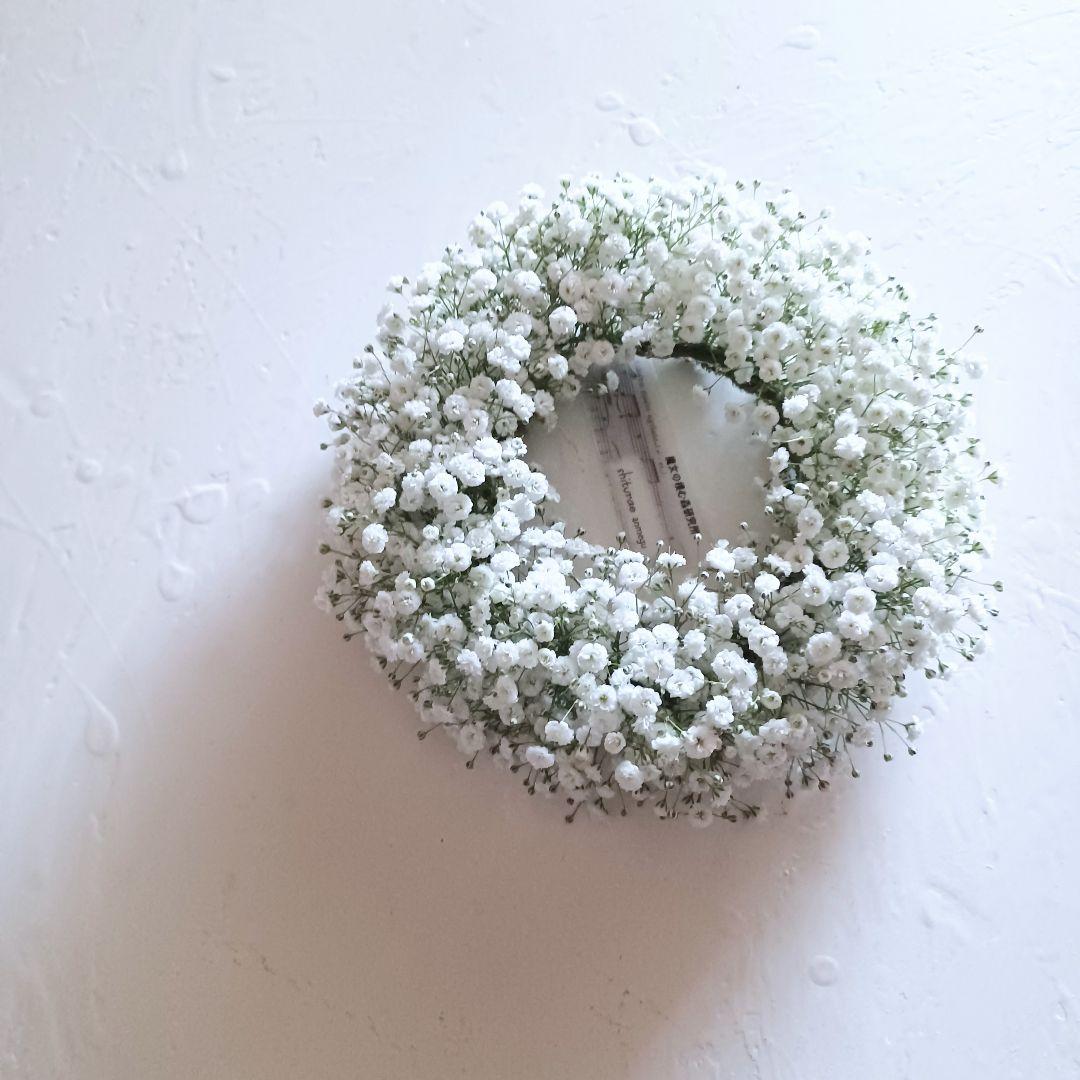 新品 未使用 カスミソウリース ドライフラワー リース 【ご予約】