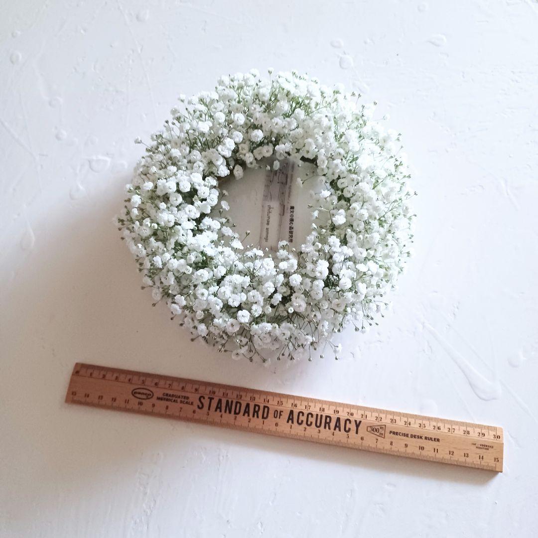 新品 未使用 カスミソウリース ドライフラワー リース 【ご予約】