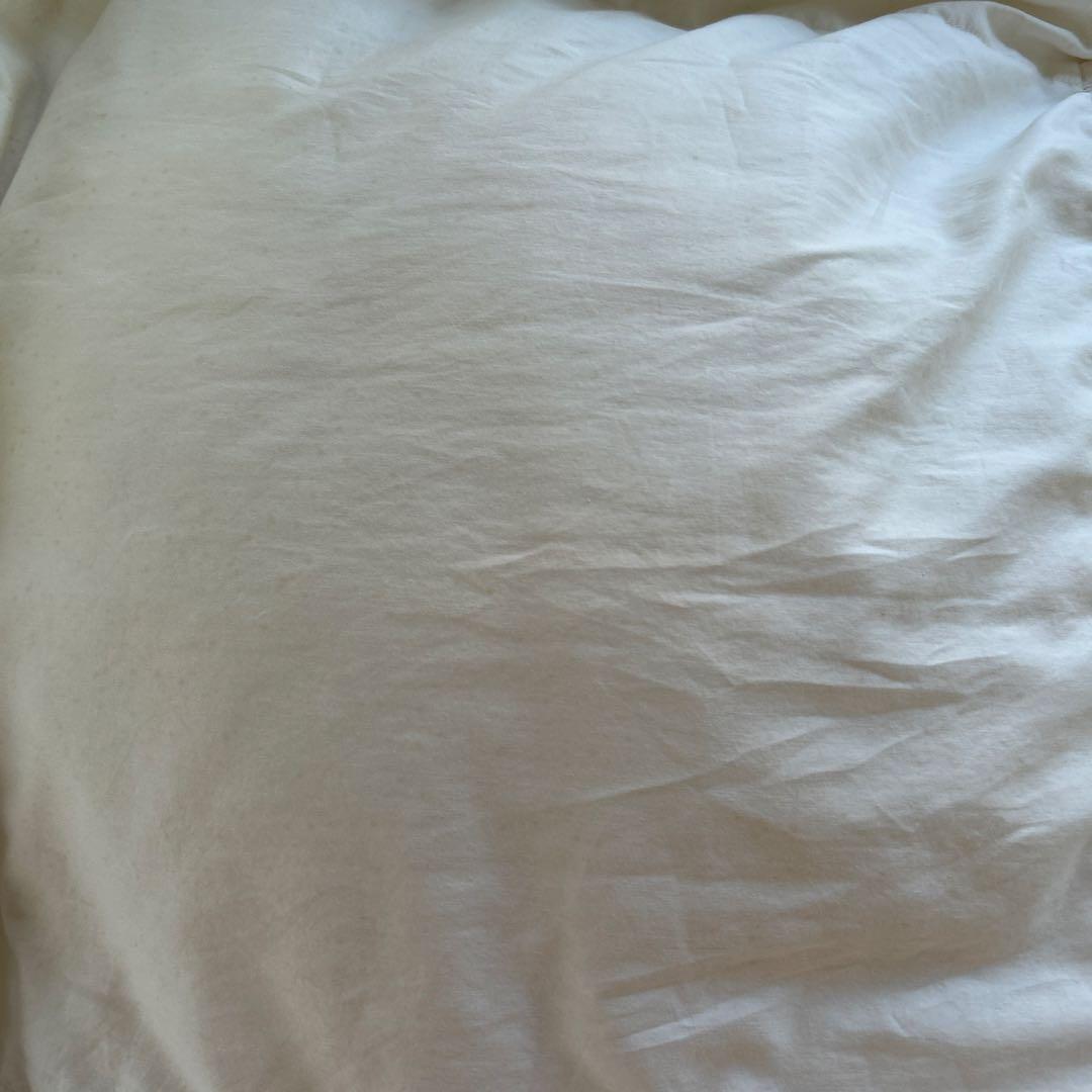 最高級グランドマザーグースダウン！ダブル！クリーニング済み！