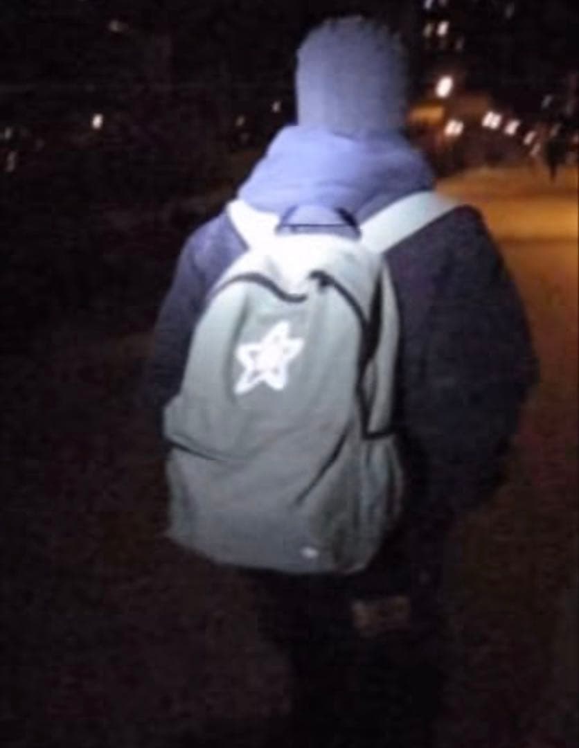 star team リュック　バックパック最安値