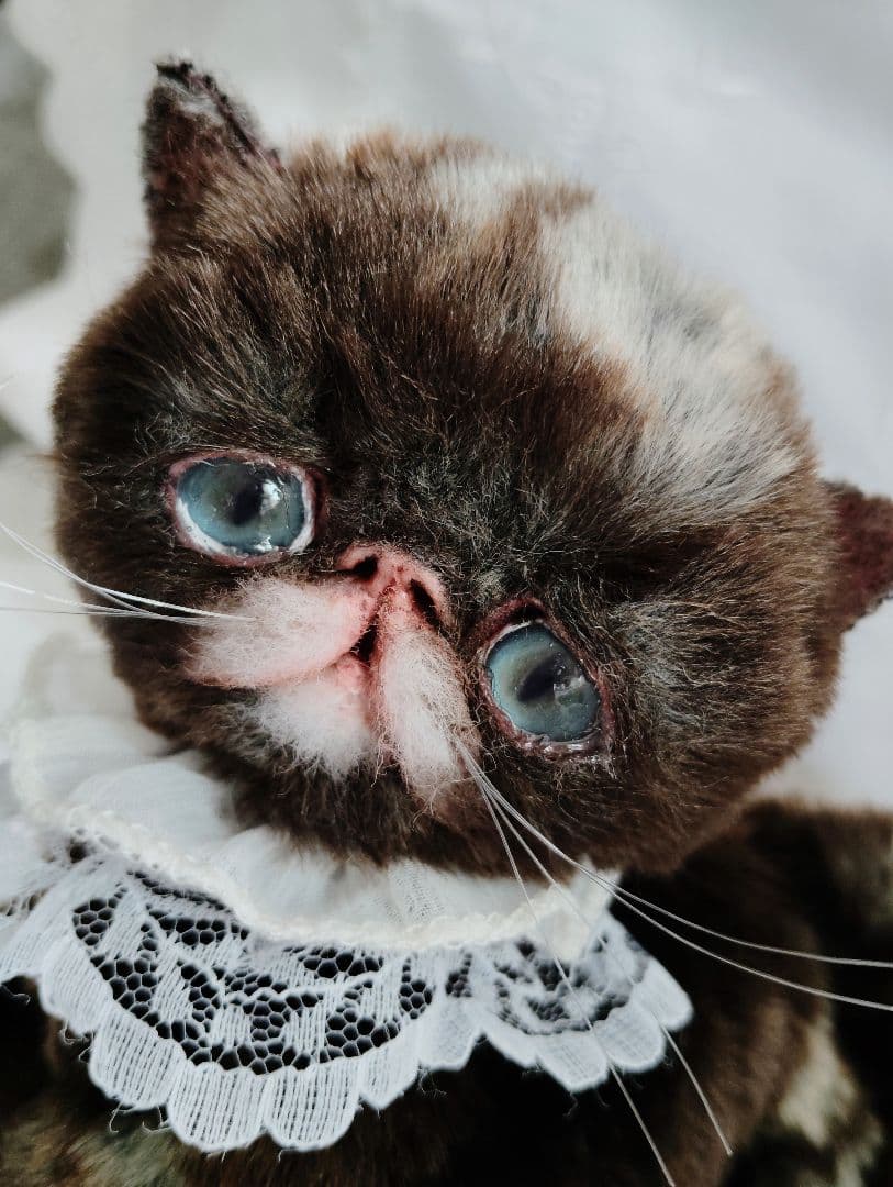 ラスト♡高級配色ファー♡エキゾチック子猫ちゃん♡アートドール♡ぬいぐるみ♡