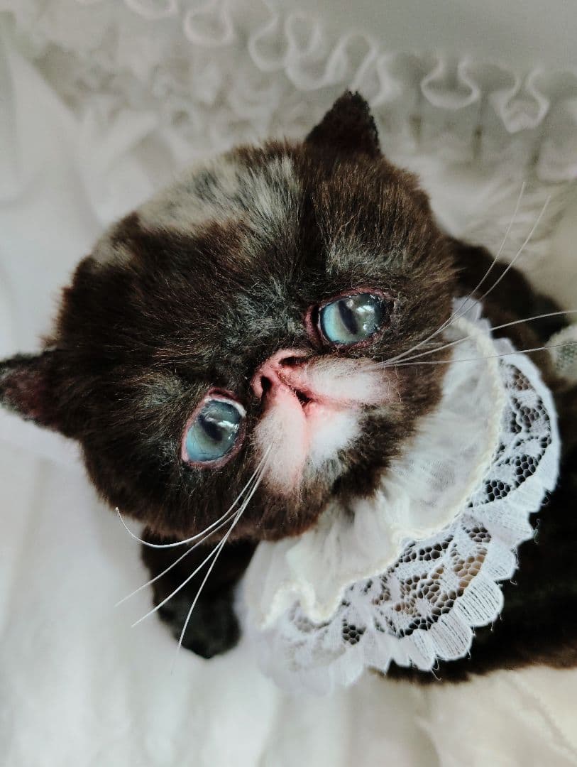 ラスト♡高級配色ファー♡エキゾチック子猫ちゃん♡アートドール♡ぬいぐるみ♡