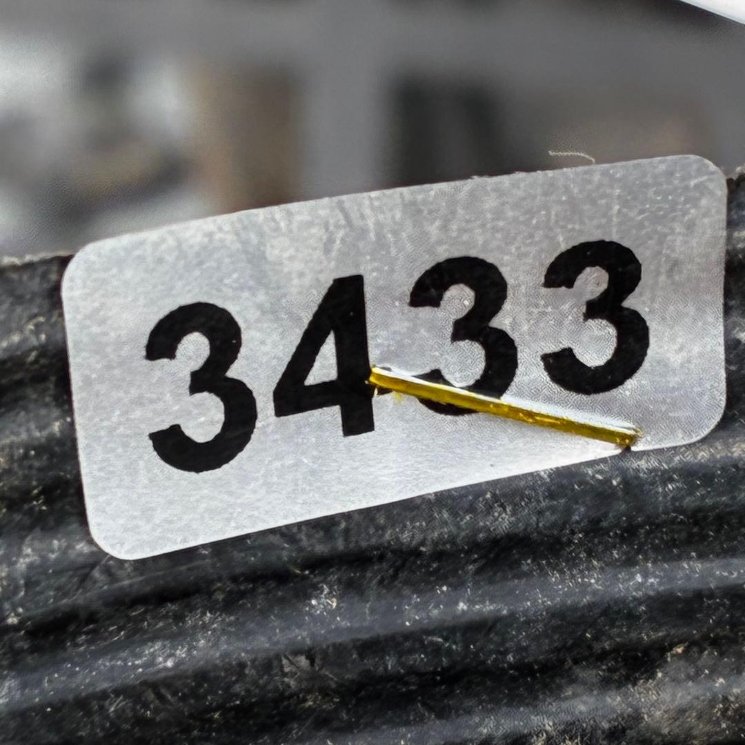 ま*️様 3433☘️花タグ付☘️極上☘️グロッシーカラー⭐️小〜中輪⭐️コンパ