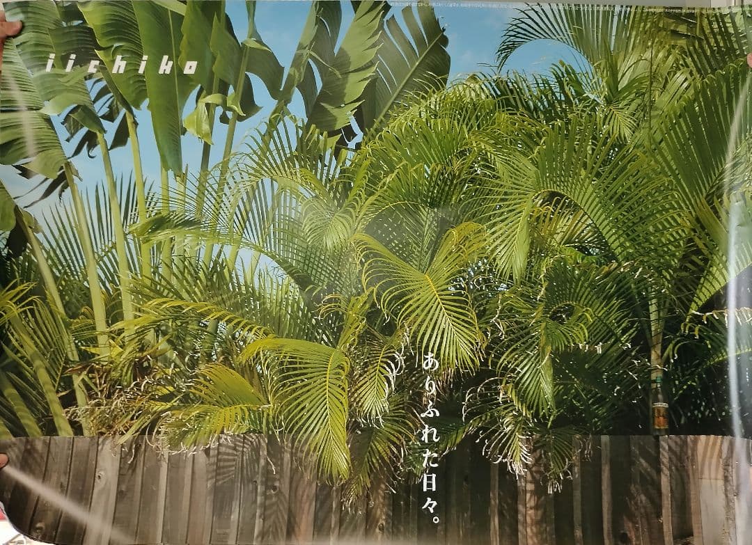 浅井慎平 iichiko ポスター