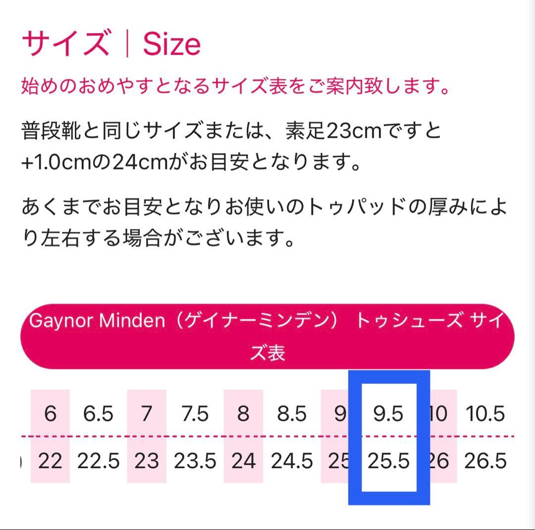 ゲイナーミンデン トウシューズ リラ