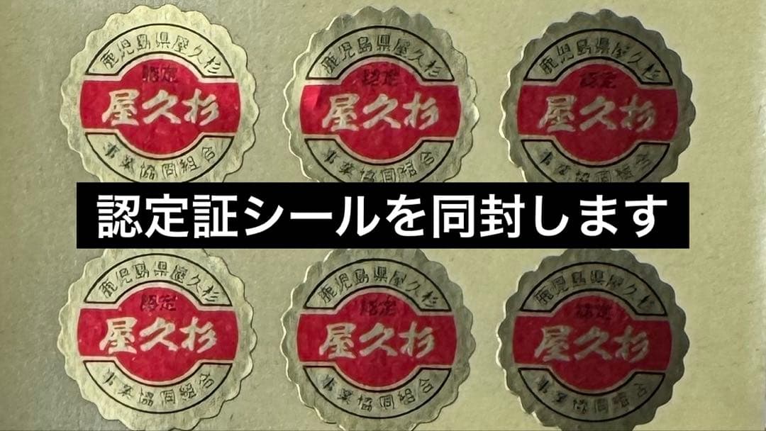 屋久杉　台座　レジン仕上