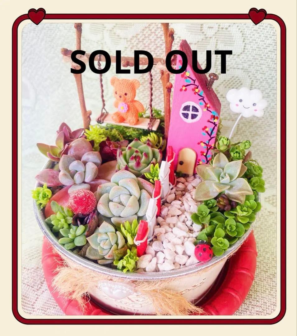 多肉③寄せ植えセットキット