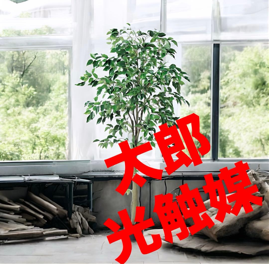 光触媒　人工観葉植物　ウォールグリーン　フェイクグリーン　フィカスツリー175