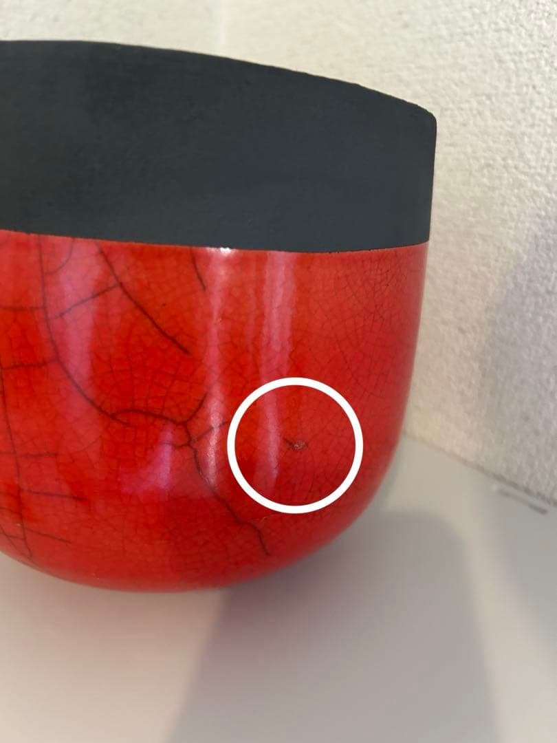 ドマーニ　Domani 鉢