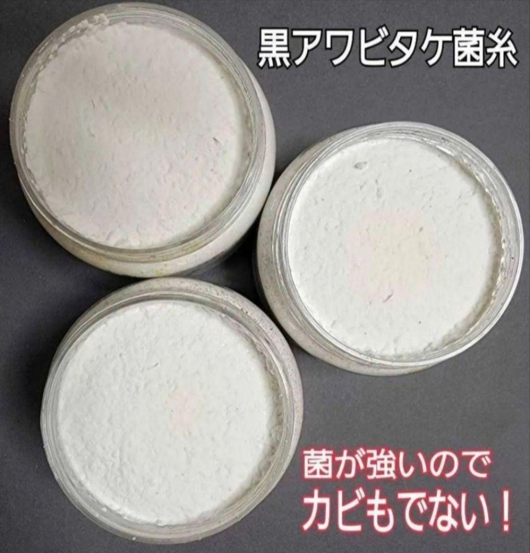 ニジイロクワガタに抜群！黒アワビタケ菌糸瓶【8本】トレハロース強化配合！