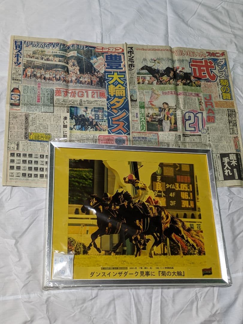 ダンスインザダーク　武豊　菊花賞　競走馬　写真パネル　額縁入り　スポーツ新聞付き
