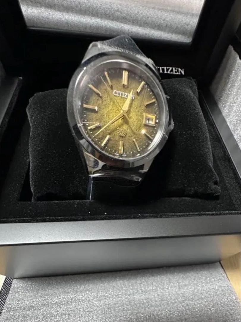 The CITIZEN（ザ・シチズン） 限定 AQ4106-18X