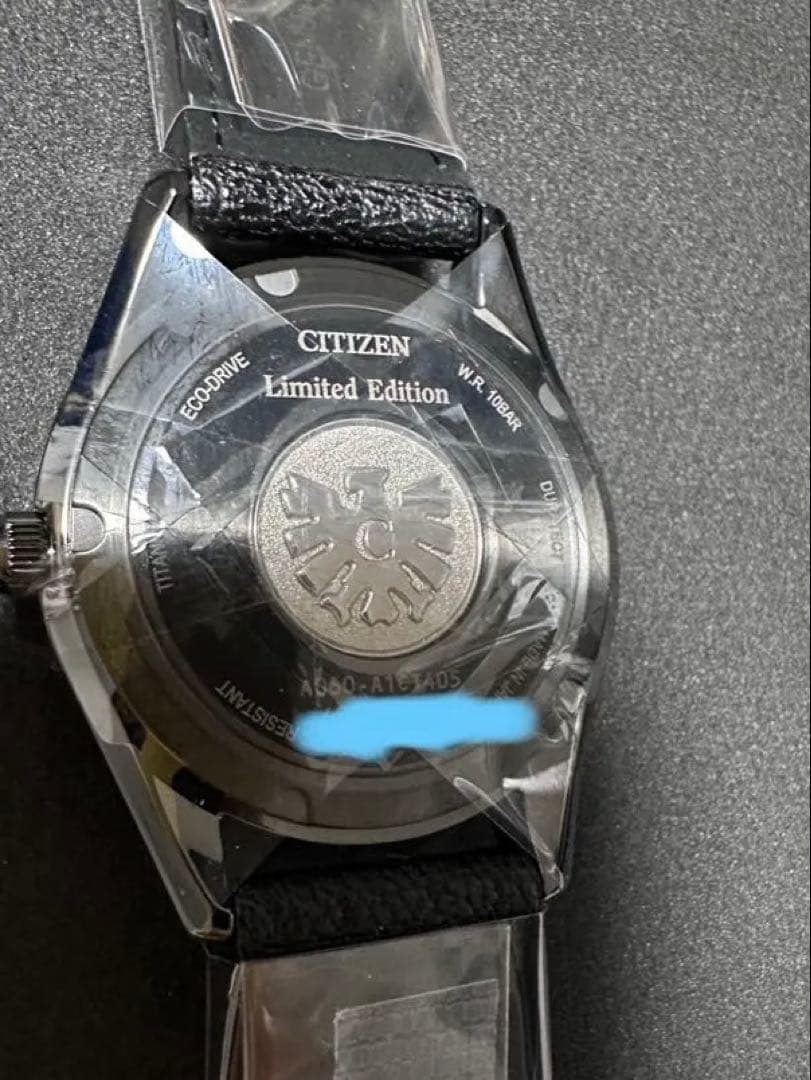 The CITIZEN（ザ・シチズン） 限定 AQ4106-18X