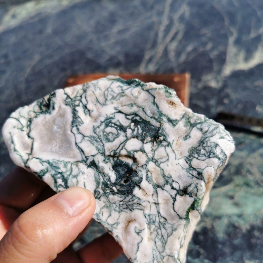 ツリーアゲート　738グラム　鑑賞石　原石　宝石　鉱物　パワーストーン　石