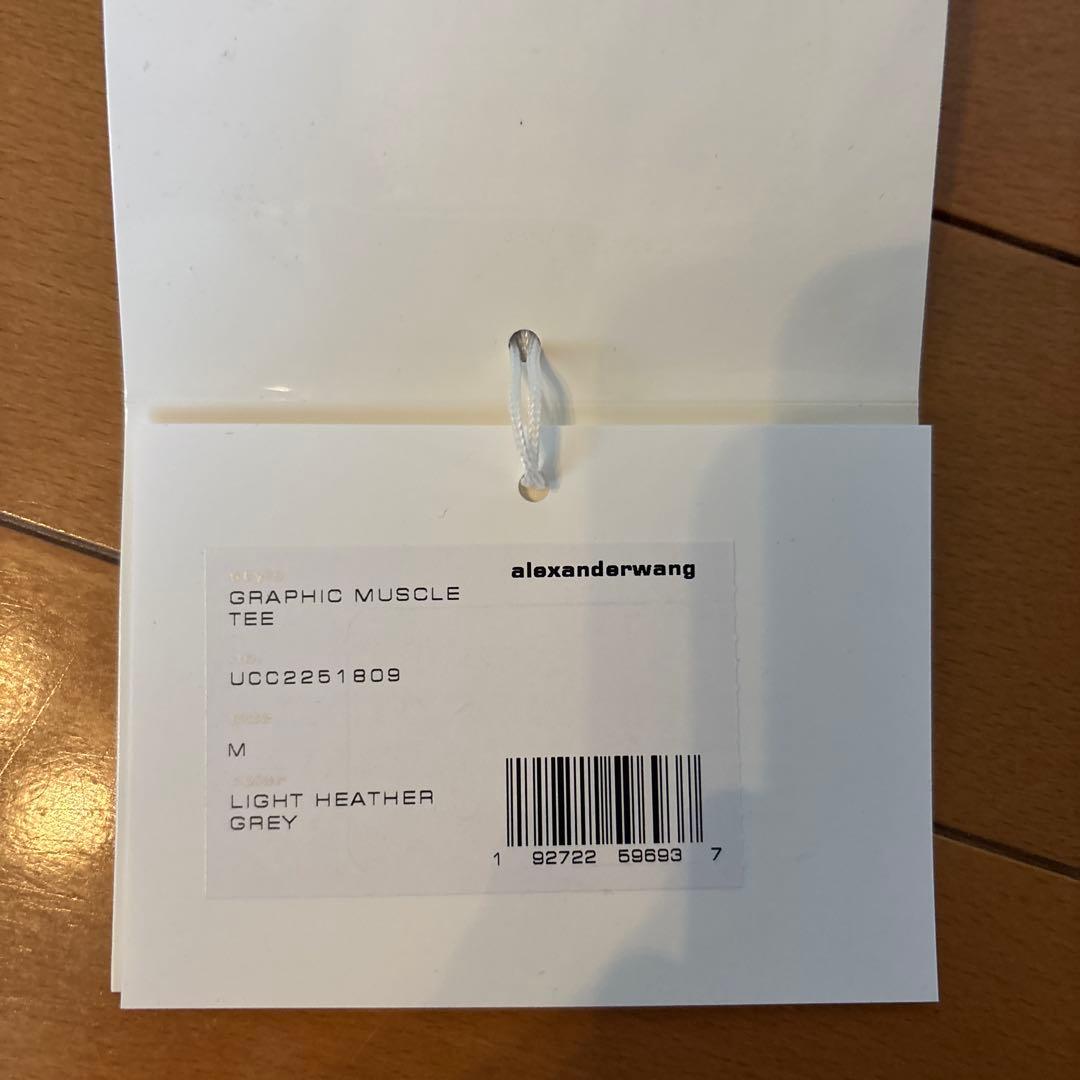 登坂広臣着用ALEXANDER WANG DISTRESSED TEE