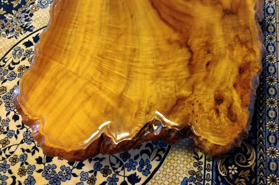 値下げ　座卓　楠木　天然無垢一枚板　KEN