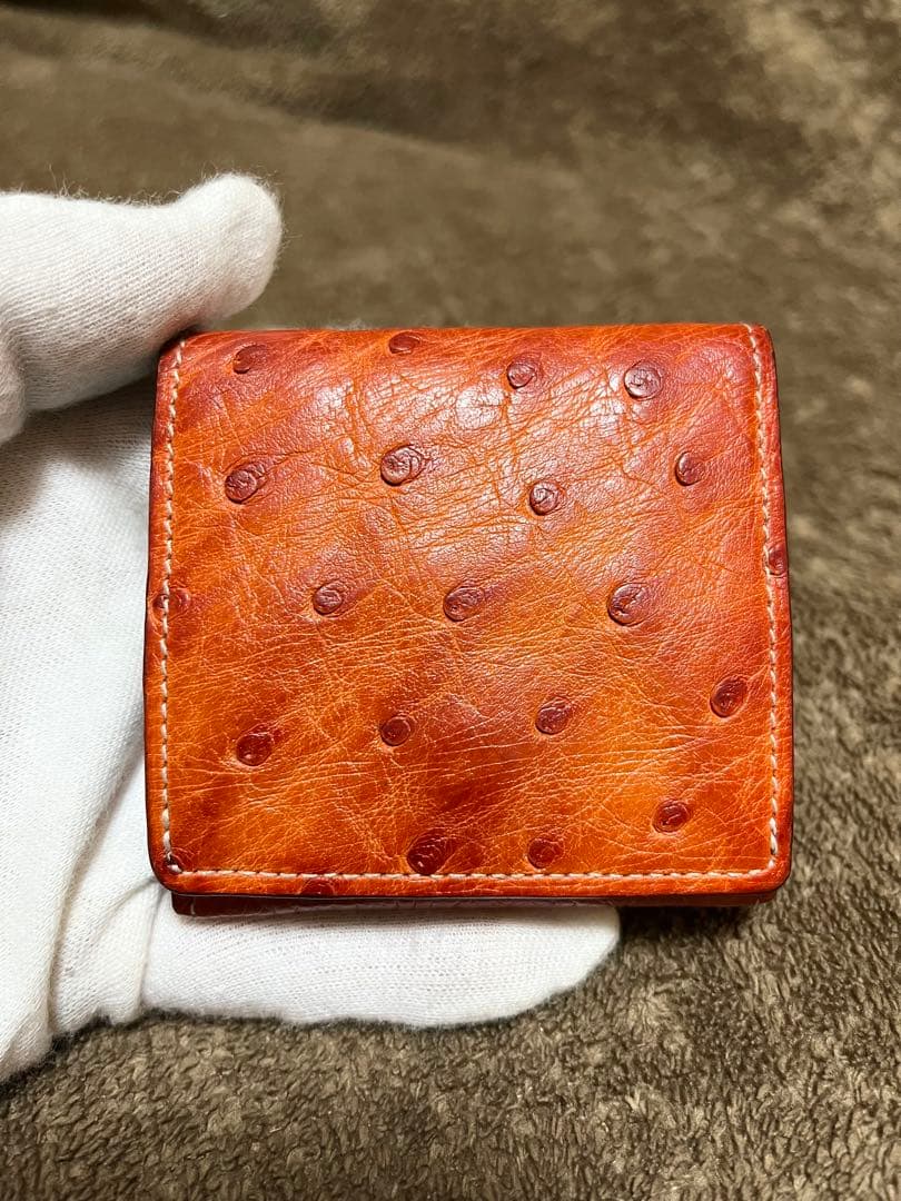 ガンゾ GANZO ケース 小銭入れ オーストリッチ エキゾチックレザー