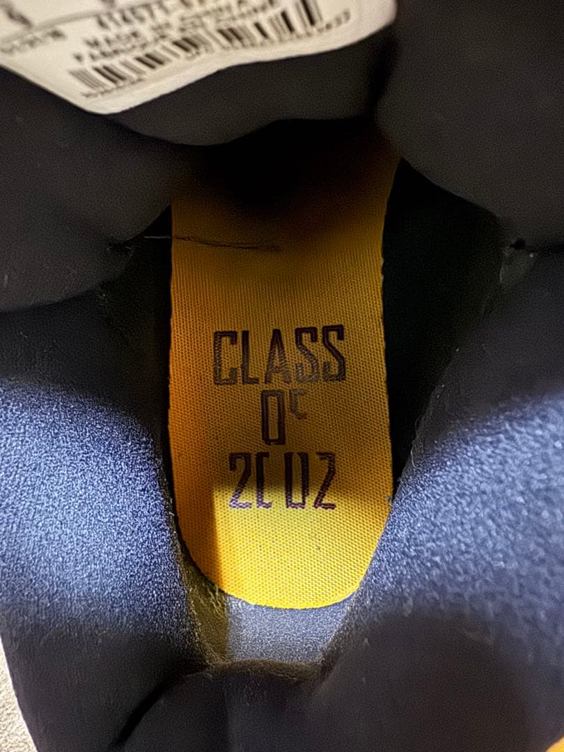 Air Jordan 13 カーメロアンソニー クラスオブ2002 値下げ対応可