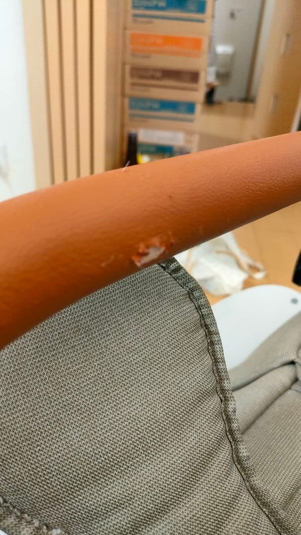 エアバギー ココダブルEX　フロムバース