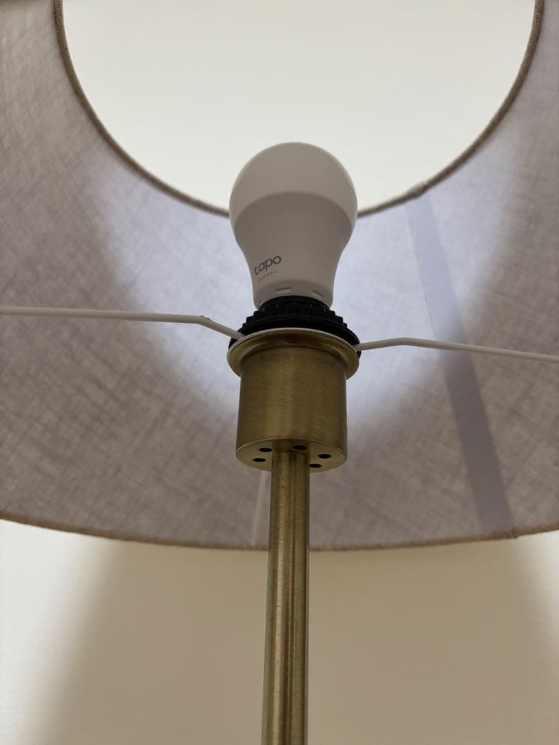 リセノプロダクト　フロアライト　Delicia