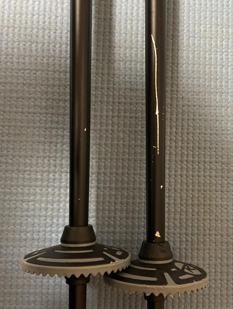 ROSSIGNOLのスキー板（160cm）とストック（115cm）