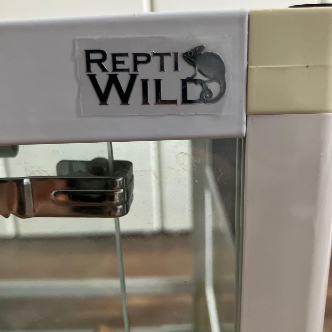 三晃商会 レプティワイルド パンテオン ホワイト WH6035 暖トツ付き