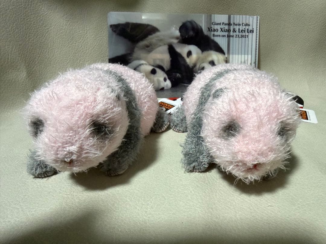 い*ご様 シャオシャオ＆レイレイ ぬいぐるみ　クリアファイル　3点セット