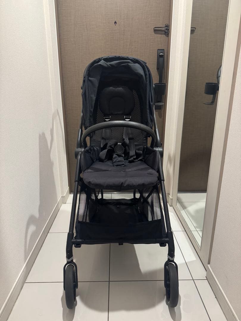 サイベックス　メリオカーボン　2021