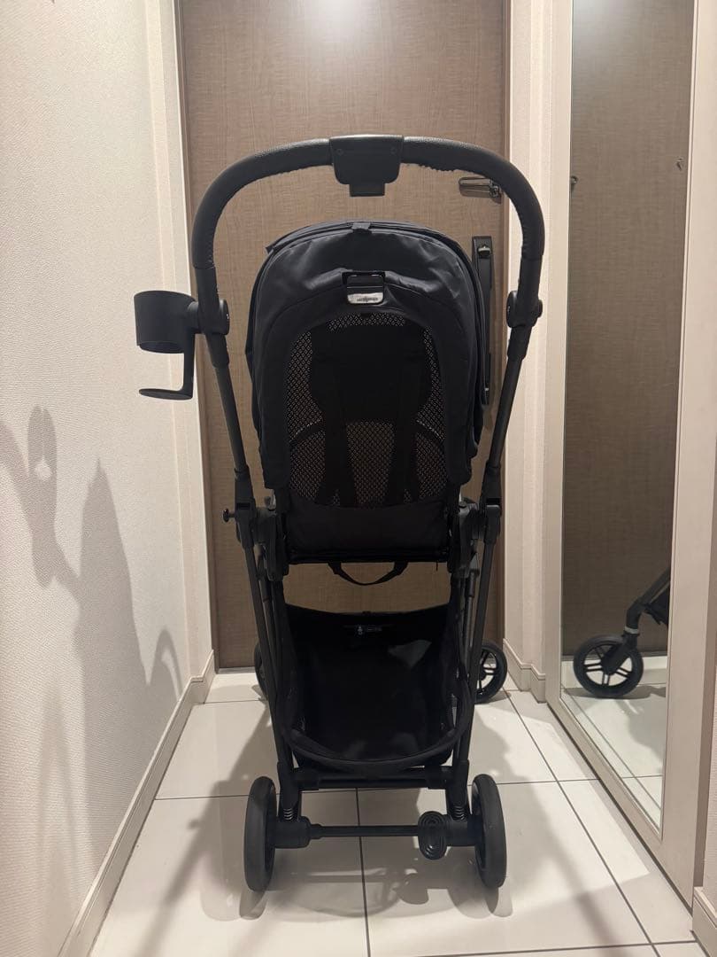 サイベックス　メリオカーボン　2021